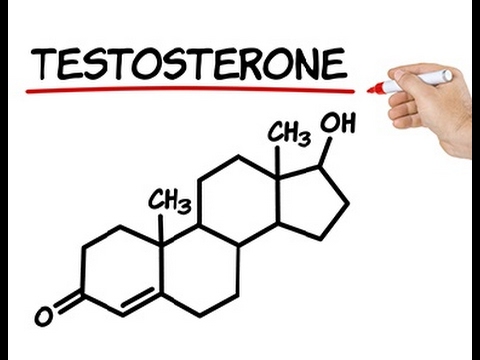 Qu’est-ce qui pourrait augmenter naturellement son taux de testostérone?